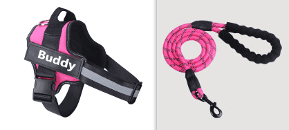 Fashion Simple Pet Leash Chest Strap Set (Option: Pink-XS)